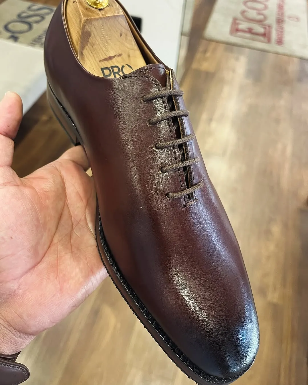 Elegant Brown Oxford with Burnished Toe Finish