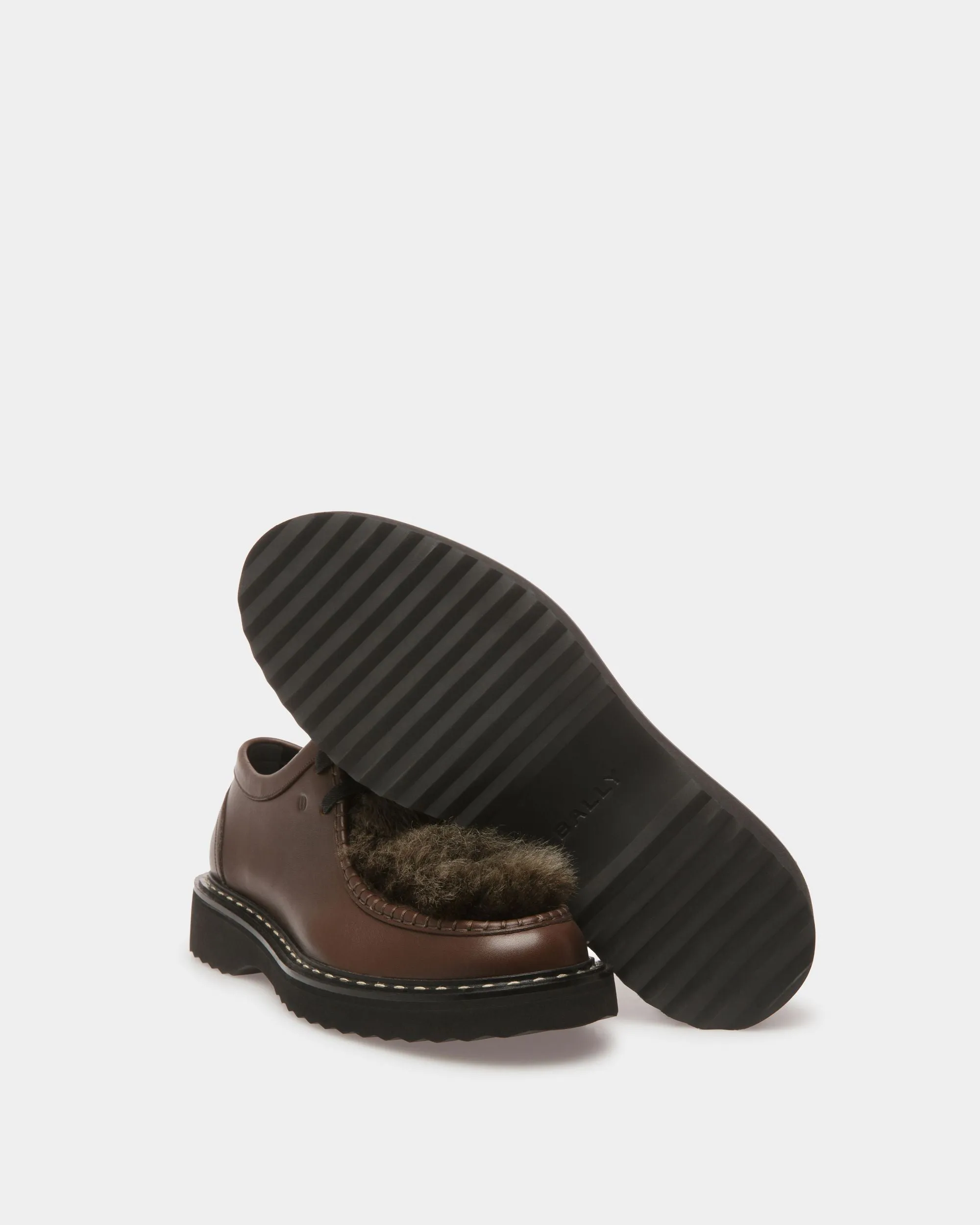 Neasden Derby Shoes In Brown Leather