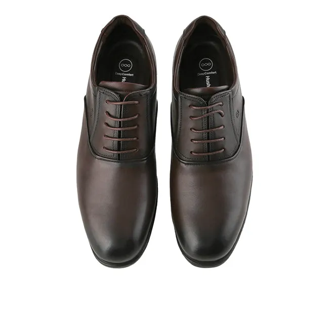 Slavio Drake Lace Up In Brown