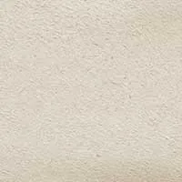 The Sacca Donna (Sample Sale)